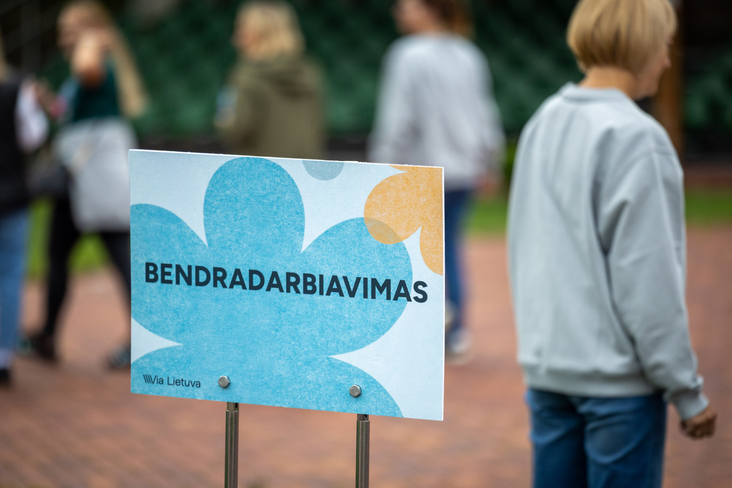 Vertybių žaidimas 1